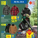 Lidl Prospekt Seite 31