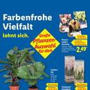 Lidl Prospekt Seite 65
