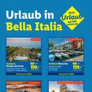Lidl Prospekt Seite 66