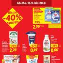 Lidl Prospekt Seite 22