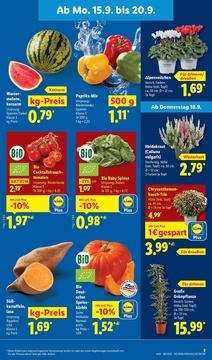 Lidl Prospekt - Marken zum Tiefpreis