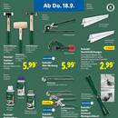 Lidl Prospekt Seite 53