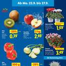 Lidl Prospekt Seite 3