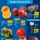 Lidl Prospekt Seite 3