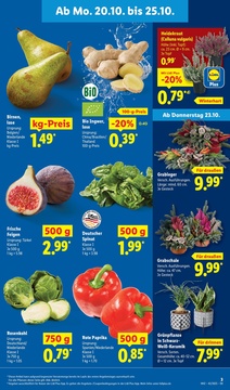 Lidl Prospekt - Wir feiern, Du sparst, lohnt sich.