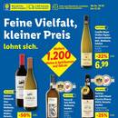 Lidl Prospekt - Wein
