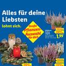 Lidl Prospekt Seite 21