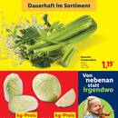 Lidl Prospekt Seite 13