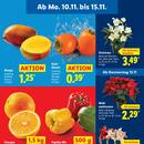 Lidl Prospekt Seite 15