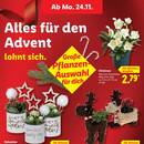 Lidl Prospekt Seite 11