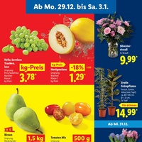 Lidl Prospekt Seite 7