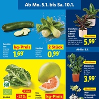 Lidl Prospekt Seite 5