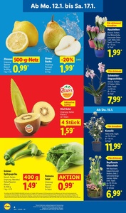 Lidl Prospekt - Angebote ab 12.01.