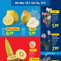 Lidl Prospekt Seite 4