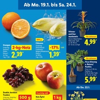 Lidl Prospekt Seite 5