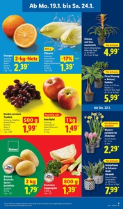 Lidl Prospekt - Sparen beim Preisführer