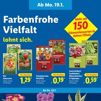 Lidl Prospekt Seite 60