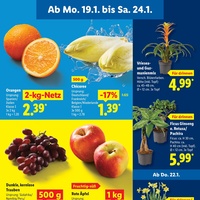 Lidl Prospekt Seite 5