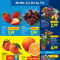 Lidl Prospekt Seite 5