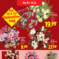 Lidl Prospekt Seite 12