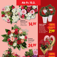 Lidl Prospekt Seite 13