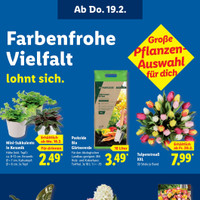 Lidl Prospekt Seite 26