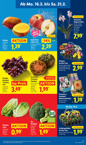 Lidl Prospekt - Angebote ab 16.02.