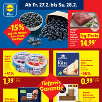 Lidl Prospekt Seite 64