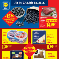 Lidl Prospekt Seite 64