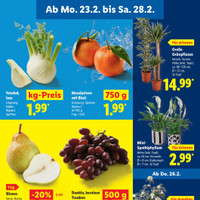 Lidl Prospekt Seite 5