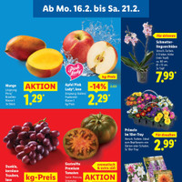 Lidl Prospekt Seite 7