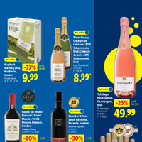 Lidl Prospekt Seite 25