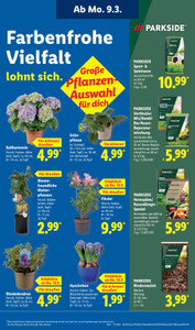 Lidl Prospekt - Lohnt sich.