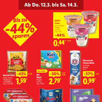 Lidl Prospekt Seite 66