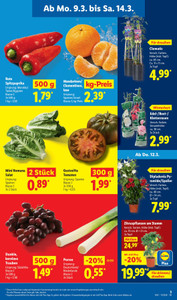 Lidl Prospekt - Lohnt sich.