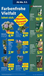 Lidl Prospekt - Lohnt sich.