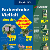 Lidl Prospekt Seite 27