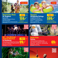 Lidl Prospekt Seite 65