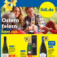 Lidl Prospekt Seite 22