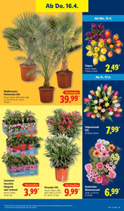 Lidl Prospekt - Sparen beim Preisführer