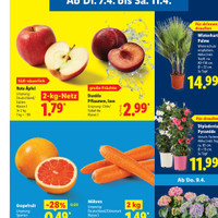 Lidl Prospekt Seite 5