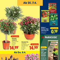 Lidl Prospekt Seite 63