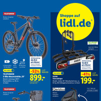 Lidl Prospekt Seite 41