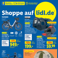 Lidl Prospekt Seite 41