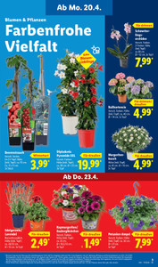 Lidl Prospekt - Sparen beim Preisführer