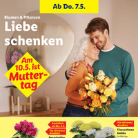 Lidl Prospekt Seite 16