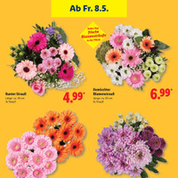 Lidl Prospekt Seite 17