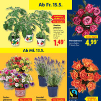 Lidl Prospekt Seite 75