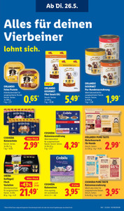 Lidl Prospekt - Fan-Power spüren