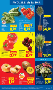 Lidl Prospekt - Fan-Power spüren